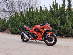 Nuoma Phantom 255S 250 cc - ფოტო 8