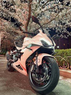 QJMOTOR Sai 600 680 cc - photo 1