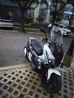 Dayang V-Ray ADV150 - фото 4
