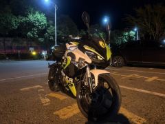 QJMOTOR SRK 250 - фото 2