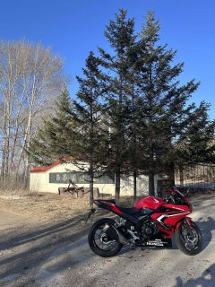 Honda CBR400R - фото 2