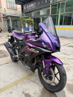 Yamaha YZF-R3 320 cc - ფოტო 2