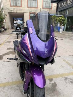 Yamaha YZF-R3 320 cc - ფოტო 3