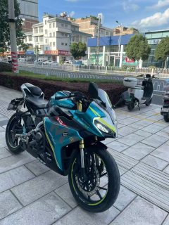 CFMOTO 250SR - ფოტო 3