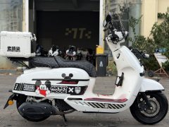 Weiduoliya Sixties 150Si - ფოტო 1