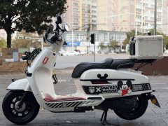 Weiduoliya Sixties 150Si - ფოტო 2