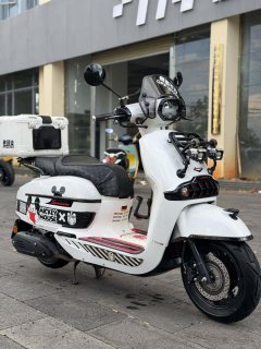 Weiduoliya Sixties 150Si - ფოტო 6