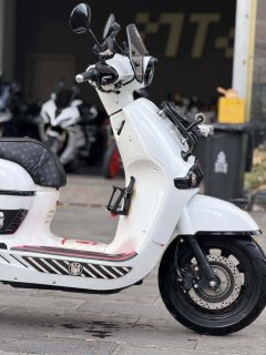 Weiduoliya Sixties 150Si - ფოტო 8