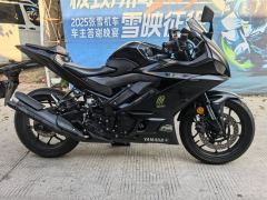 Yamaha YZF-R3 320 cc - ფოტო 4