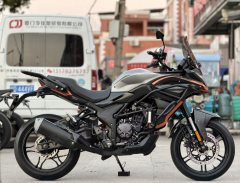 Voge 300DS - ფოტო 2