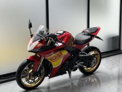 Kayo 321RR 320 cc - фото 4