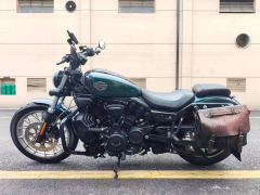 Harley-Davidson Nightster 975 cc - ფოტო 2