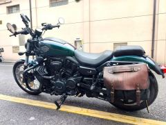 Harley-Davidson Nightster 975 cc - ფოტო 6
