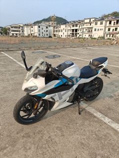 CFMOTO 250SR - ფოტო 2
