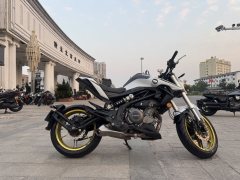 QJMOTOR Chase 350 - ფოტო 1