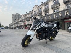QJMOTOR Chase 350 - ფოტო 5