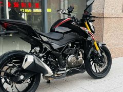 Haojue DR300 - ფოტო 3