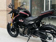 Haojue DR300 - ფოტო 6