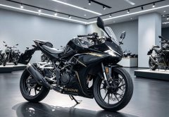 Kayo 250RR Thornbird - ფოტო 1