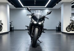 Kayo 250RR Thornbird - ფოტო 2