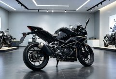 Kayo 250RR Thornbird - ფოტო 7