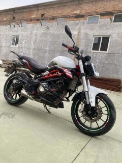 Benelli TNT 300 / BN 302S - ფოტო 4