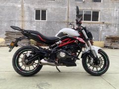Benelli TNT 300 / BN 302S - ფოტო 5