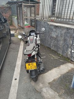 QJMOTOR Little Flying Hero 150 cc - ფოტო 2