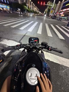 BMW S 1000 R - фото 6