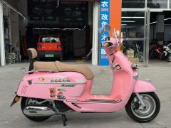 Weiduoliya Sixties 150Si - ფოტო 4
