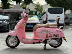 Weiduoliya Sixties 150Si - ფოტო 6