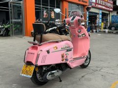 Weiduoliya Sixties 150Si - ფოტო 9