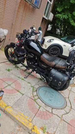 Cyclone RA2 250 cc - photo 4