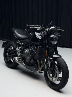 Triumph Trident 660 - ფოტო 6