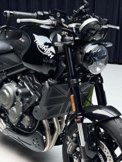 Triumph Trident 660 - ფოტო 9