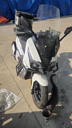 Dayang V-Ray ADV150 - ფოტო 2