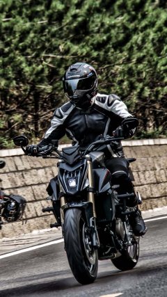 QJMOTOR Chaser 550 - ფოტო 6