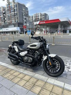 Benda Chinchilla 350 - photo 1