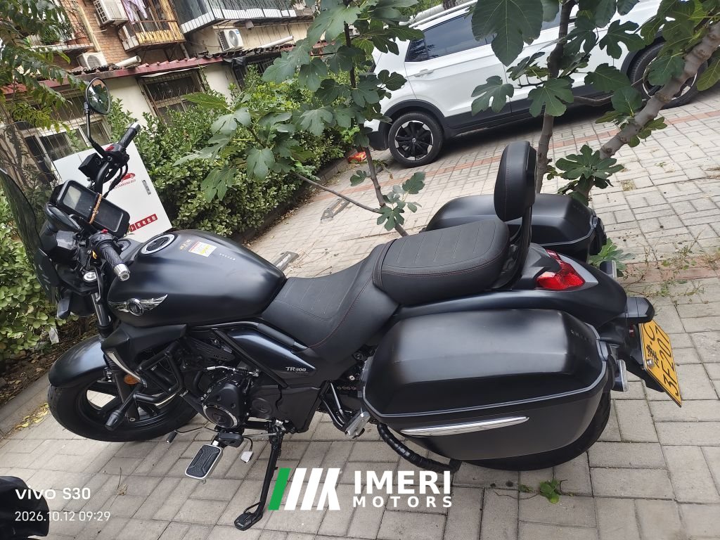 2022 Haojue TR300
