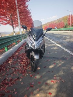 Haojue Traveler TVL350 - photo 1