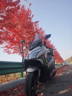 Haojue Traveler TVL350 - photo 2