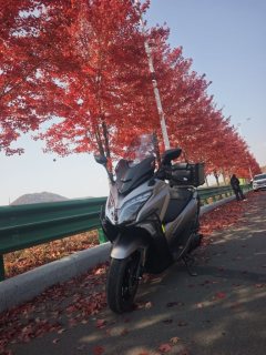 Haojue Traveler TVL350 - photo 5