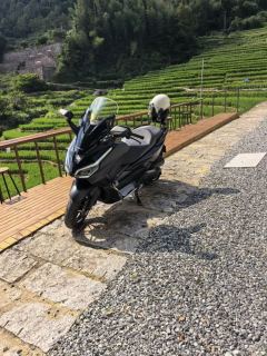 Honda NSS350 - ფოტო 1