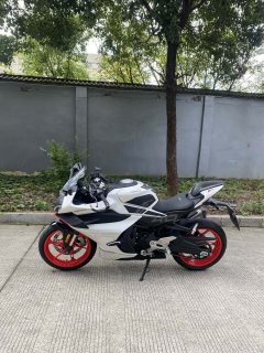 CFMOTO 450SR - ფოტო 3