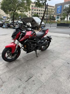 QJMOTOR Chase 350 - фото 2