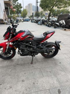 QJMOTOR Chase 350 - фото 3