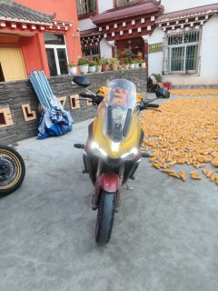 Zontes 310X - photo 2