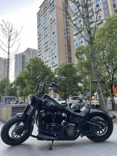 Harley-Davidson Softail Slim 1585 cc - ფოტო 1