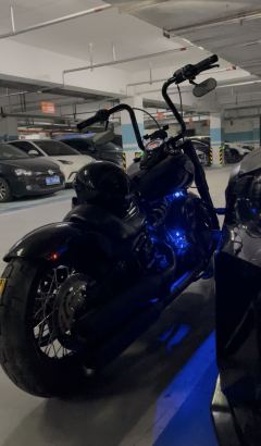 Harley-Davidson Softail Slim 1585 cc - ფოტო 7