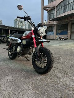 Stoner Monkey 125 cc - ფოტო 4